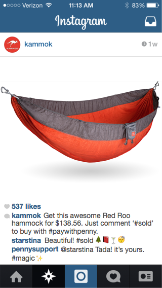 Picture of red hammock that is for sale on Instagram