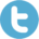 Twitter logo social media marketing Luce Media McKinney TX